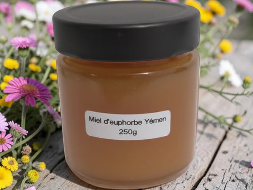 Miel d’euphorbe du Yémen