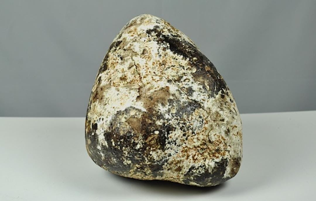 Ambre gris