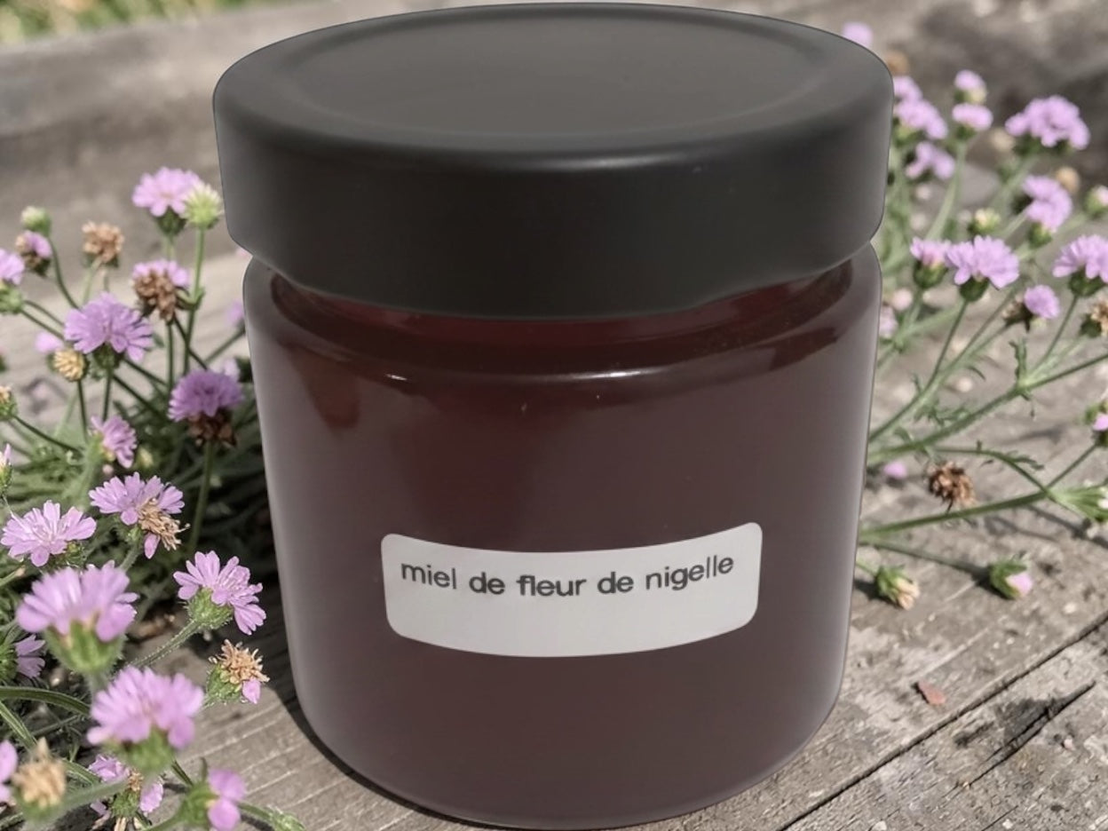 Miel de fleur de nigelle