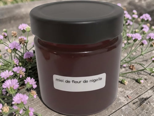 Miel de fleur de nigelle